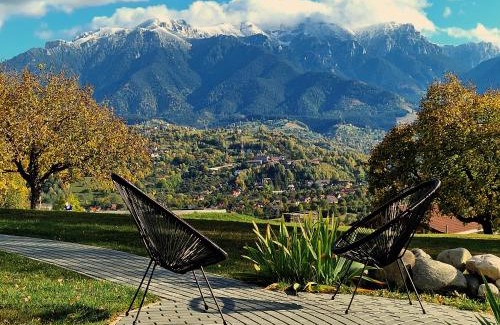 Bran Cabin | Plai din Bran