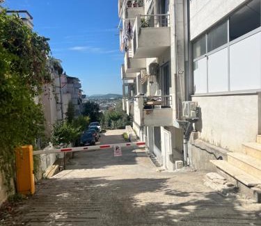 Tirana Apartment | Plant house