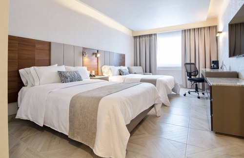 Zona Minerva Hotel | Plaza Diana Hotel