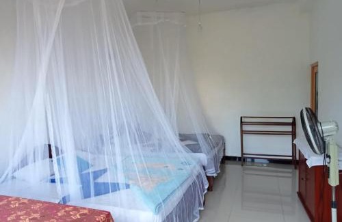 Ella House | Pleasant Sun View