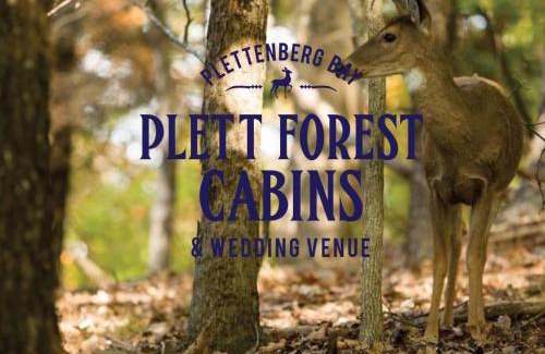 Buffalo Hills Game Reserve Hotel | Plett Forest Cabins