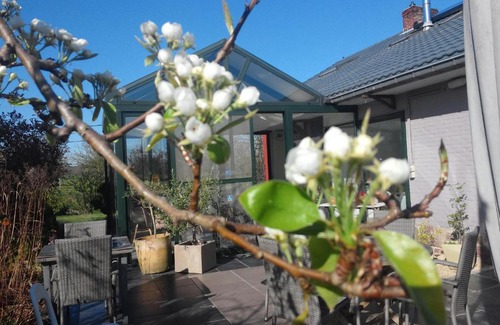 Rillaar Hotel | Pluimpapaver Hotel & Glamping