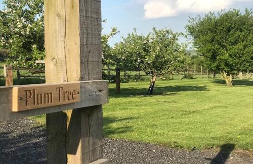 North Bitchburn Apartment | Plum Tree Lodge Set in 2 acres of Private Land