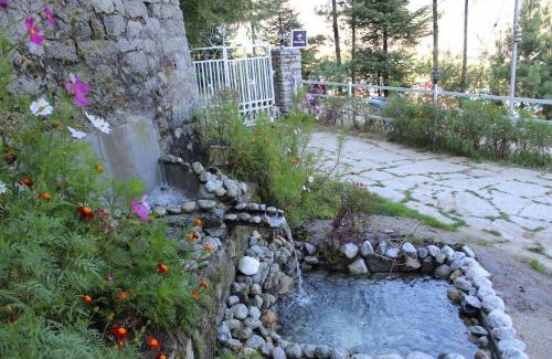 Manali Bed & Breakfast | Plumage