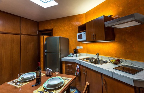 Centro Apartment | Plunge pool view! studio w/Netflix, wine cooler, etc. .9 mi. from central sq.