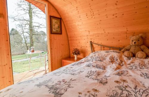 Saint Asaph House | Pod 1