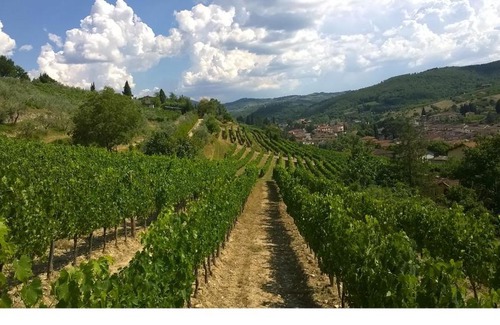 Greve in Chianti House | Podere Campriano Winery Adult only