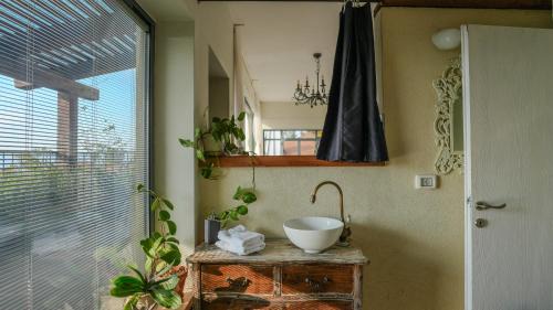 Kela Alon Cabin | Point of View