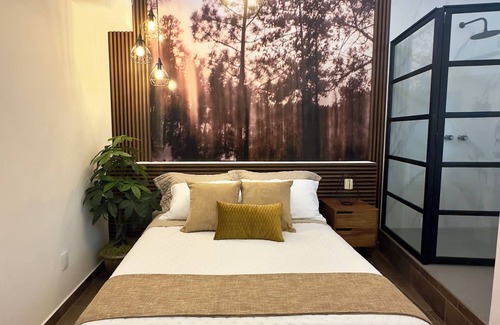 Polanco Cabin | Polanco. Beautiful room at the best part of Mexico City