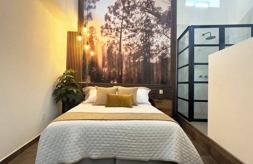 Polanco Cabin | Polanco. Beautiful room at the best part of Mexico City