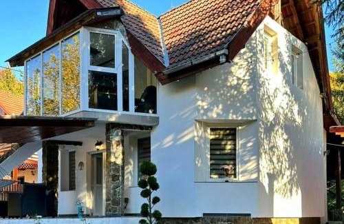 Rastolita House | Pool House Gălăoaia-Cabană la poalele Munțiilor Călimani