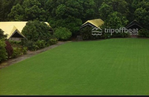 Dasua Hotel | POP Jungle Farm