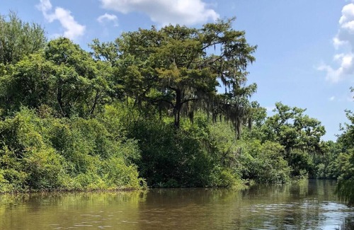 Jesup House | Pop up camp with Little Lulu!