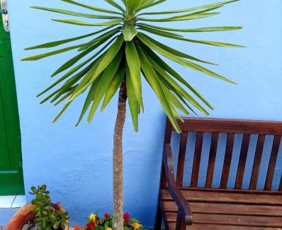 Centro House | Porão reformado no centro de Floripa