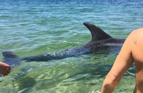 Portosin Apartment | Portosin, above the sea