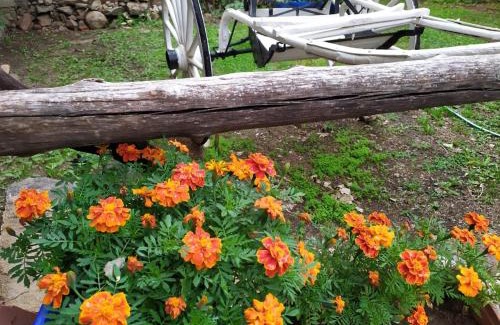 Mina Clavero Hotel | Posada de Víctor