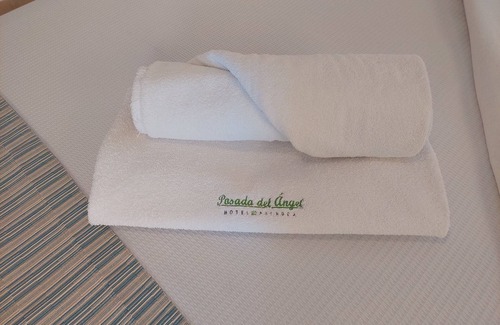 Pachuca Hotel | Posada del Ángel