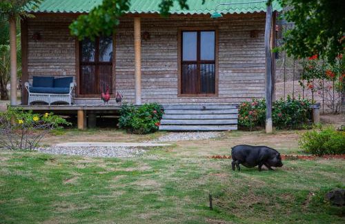 Tucacas Hotel | Posada Los Cocos Morrocoy