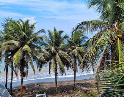 Arusi House | Posada Nore, Nuquí