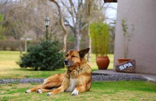 Villa General Belgrano Hotel | Posada Piedras Del Sol