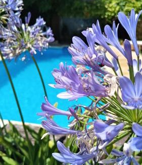 Hurlingham Apartment | Posada Villa club, Apart 2 cerca de aeropuerto El Palomar