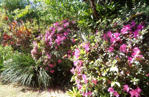 Lumiar Hotel | Pousada Arte de Viver