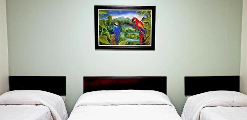 Barra do Arica Hotel | Pousada Itaicy Pantanal