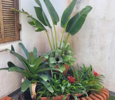 Santa Terezinha House | Pousada da Sissii