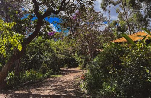 Pati Valley Hotel | Pousada Donalu - Ótima Localização