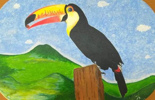 Delfinopolis Hotel | Pousada Encantos do Cerrado