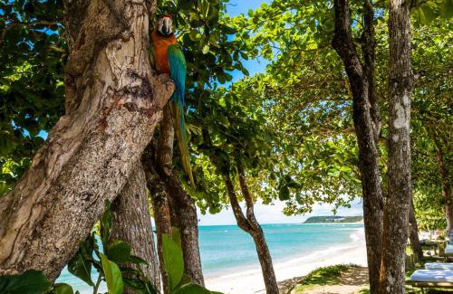 Curuipe Hotel | Pousada Enseada do Espelho