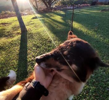 Borrazopolis Bed & Breakfast | Pousada estância vaca branca