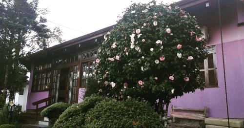 Tirol Hotel | Pousada Gardenia Guest House