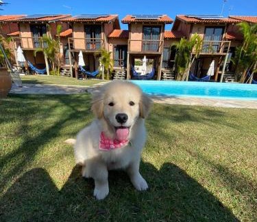 Praia do Rosa Hotel | Pousada Guardiã do Rosa