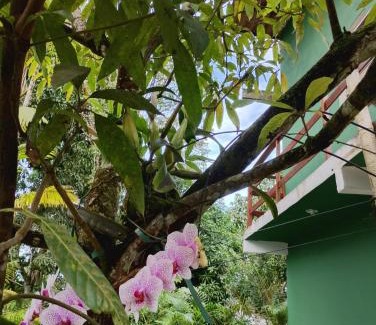 Itacare Hotel | Pousada Ka'a