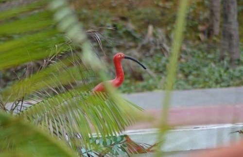 Sao Luis Hotel | Pousada Maramazon