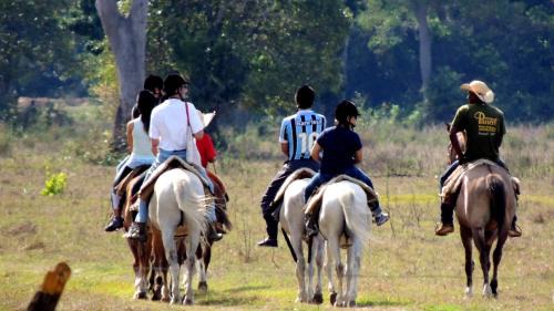 Pocone Bed & Breakfast | Pousada Piuval