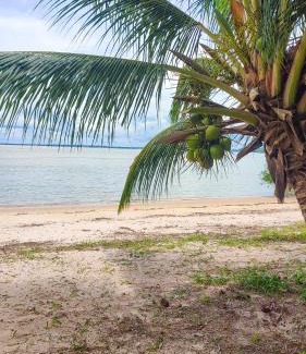 Belem Hotel | Pousada Raízes Cotijuba