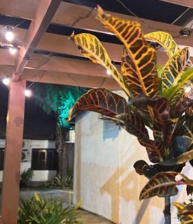 Guaiba Hotel | Pousada Recanto da Palmeira