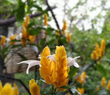 Tiradentes Hotel | Pousada Recanto dos Anjos