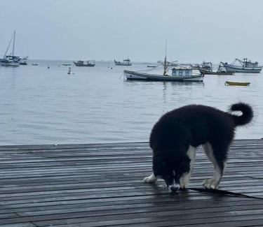 Nossa Senhora da Paz House | Pousada Refugio Paradisíaco 1