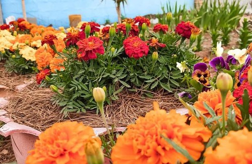 Bom Jardim da Serra Hotel | Pousada Rota da Kombi