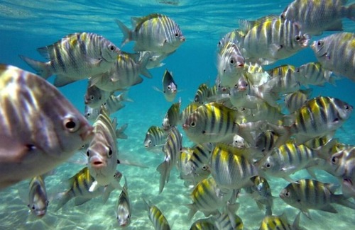 Ponta da Terra Hotel | Pousada Sabrinna