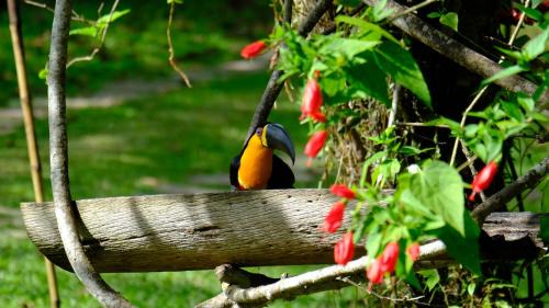 Tapirai Hotel | Pousada Salve Floresta
