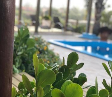 Praia do Rosa Hotel | Pousada Sol do Rosa