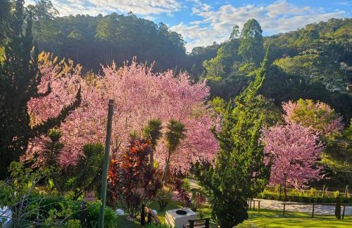 Santo Antonio do Pinhal Hotel | Pousada Vinhas do Pinhal