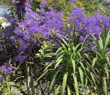 Petropolis Bed & Breakfast | Pousada Villa Provence