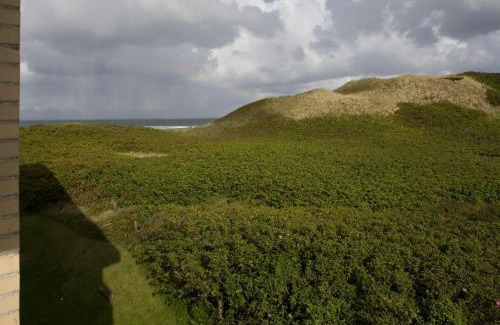Wenningstedt-Braderup Apartment | Premium Fewo Lachmöwe