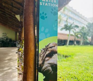 Punta Cancun Resort | Presidente InterContinental Cancun Resort