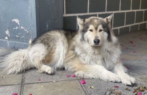 Puebla Apartment | Private suite in the heart of Puebla